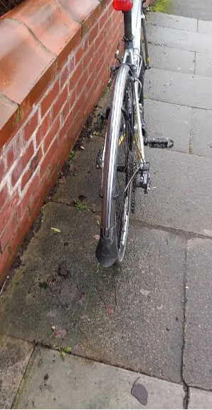 Trek Lexa 2016