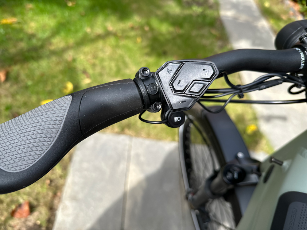 Riese & Muller Superdelite GT Vario 2023