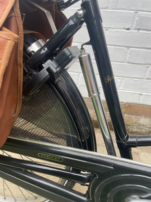 Pashley Princess Sovereign 5 Speed 2020