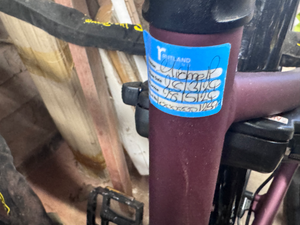 Raleigh Motus 7 Speed Step Through Bosch 2024