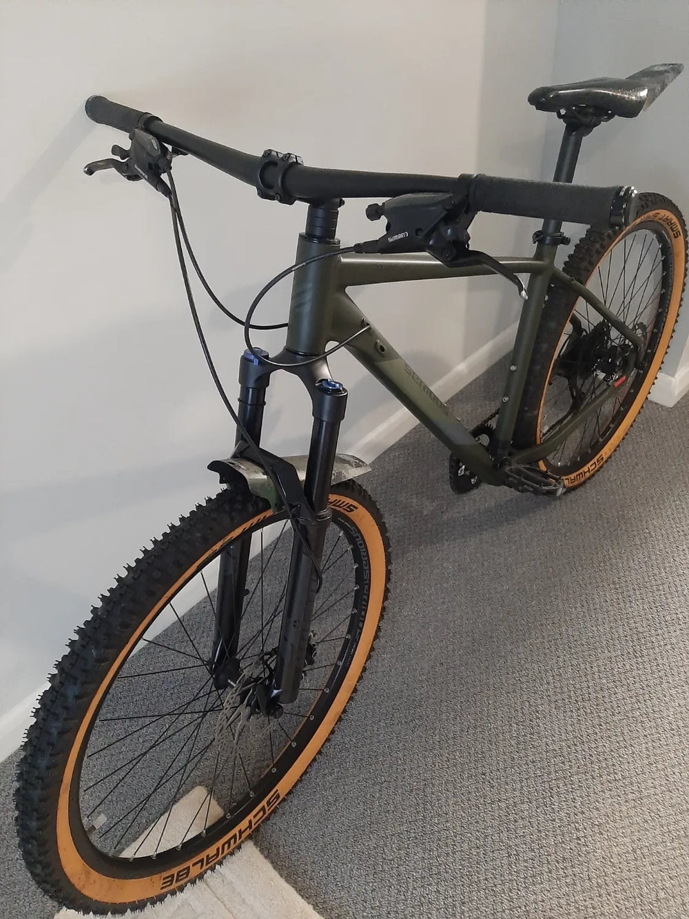 Serious cycles Global  Shoreline  2021