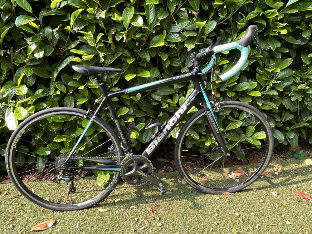 Bianchi Intrepida 105 2018