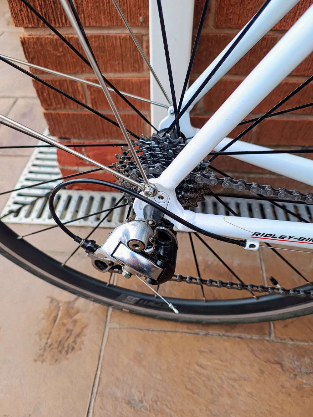 Ridley Tempo (Rim brake) 2021