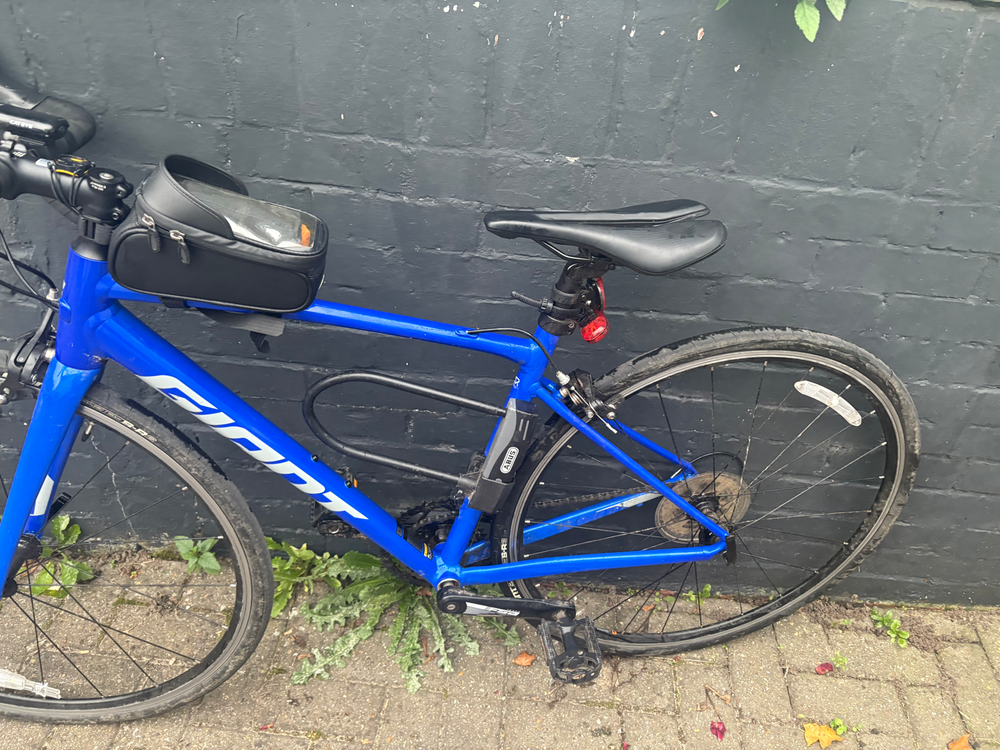 Giant Contend 2 2024