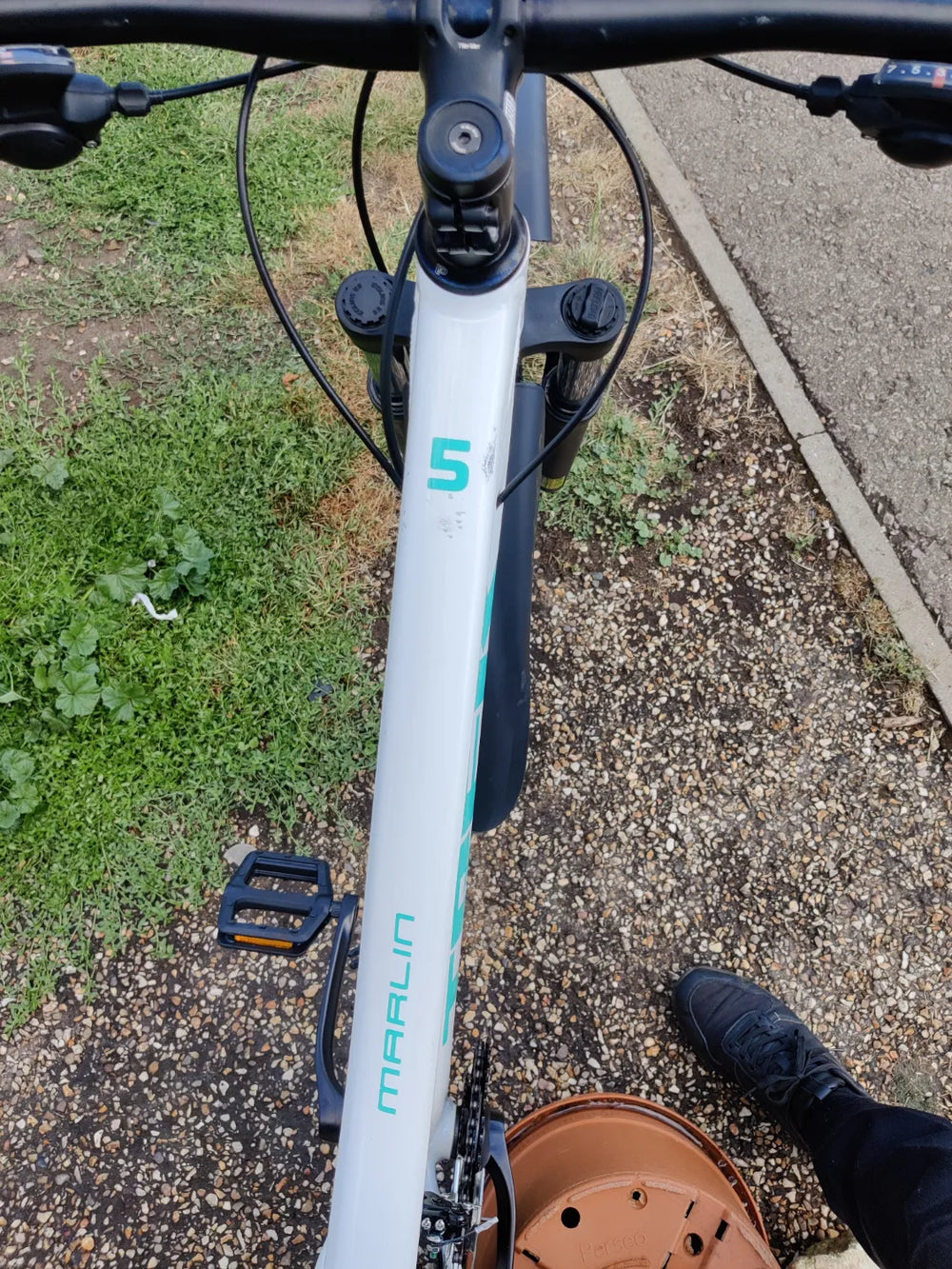 Trek Marlin 5 Women's 2019