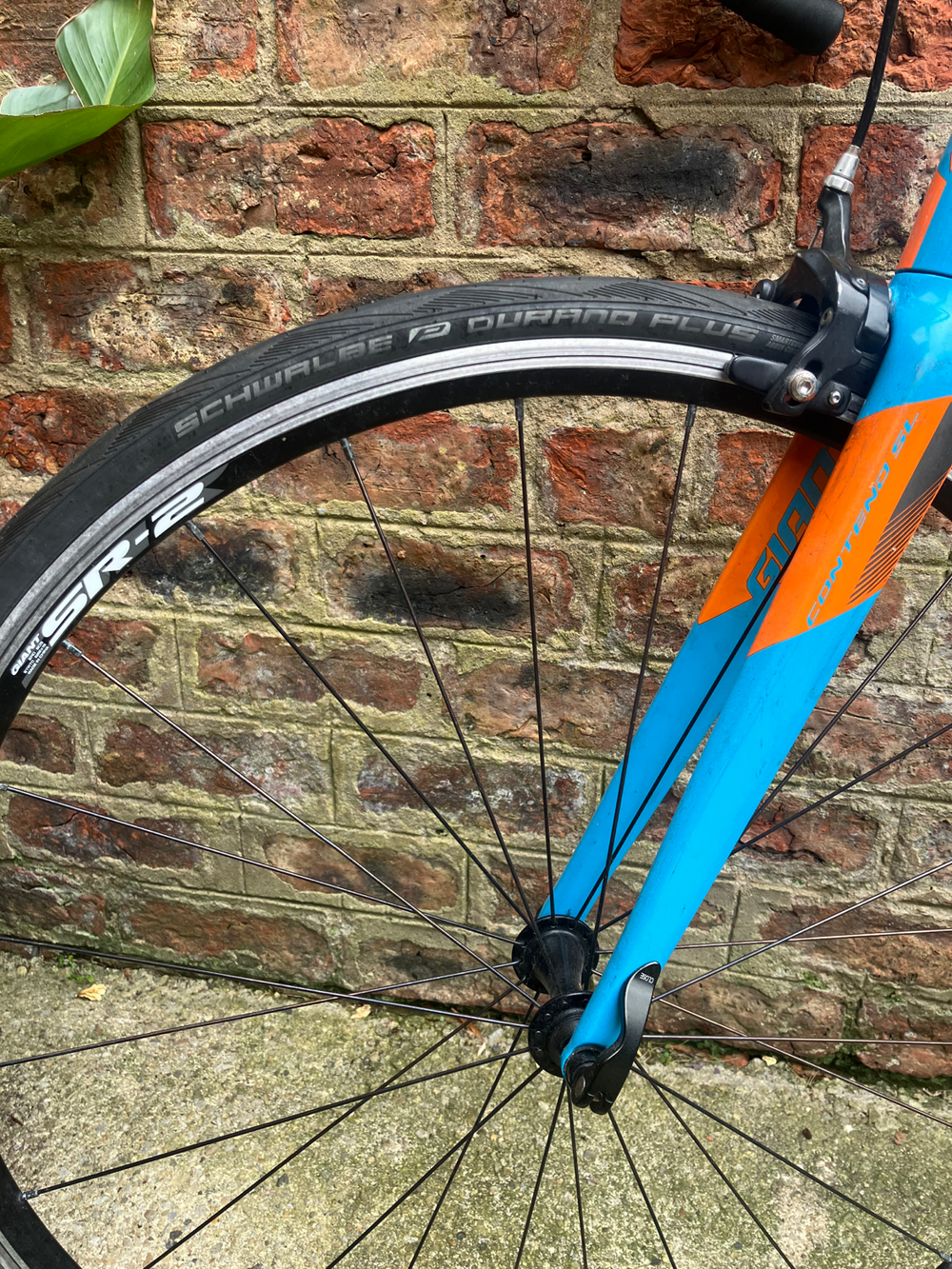 Giant Contend Sl 2 2018