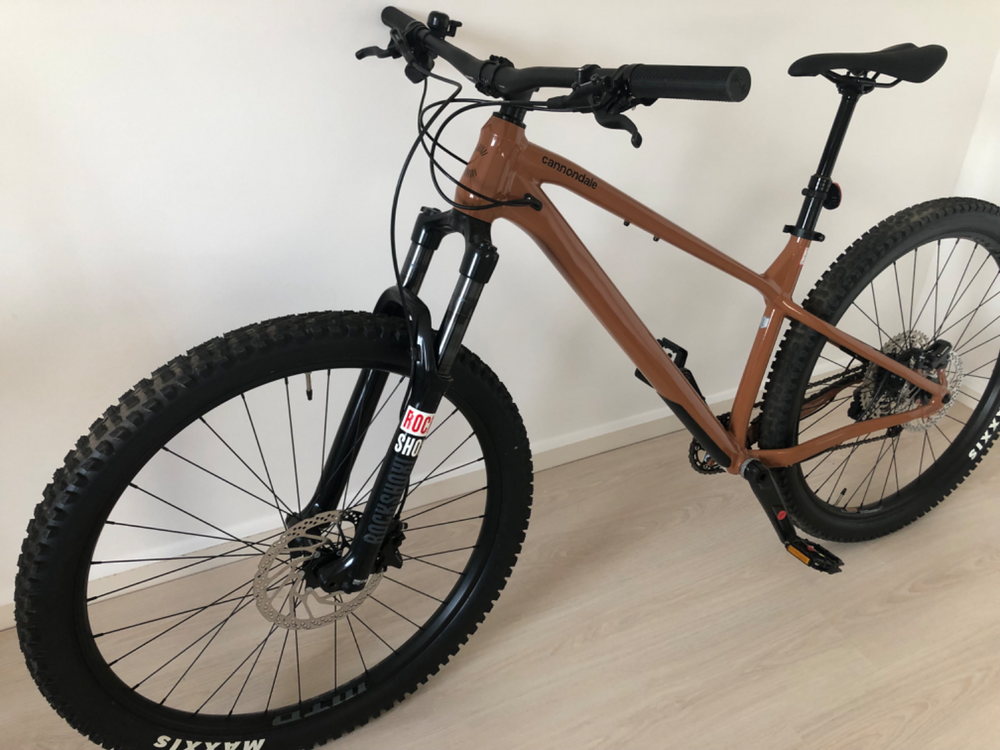 Cannondale Habit HT 1 2025