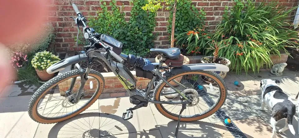 Voodoo Bizango E 2023