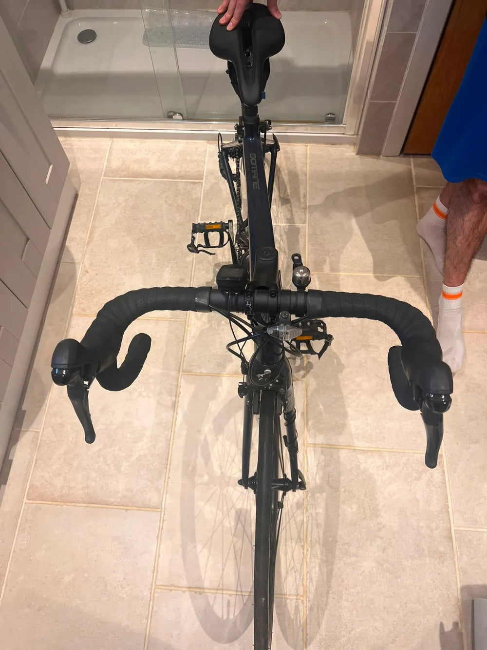 Trek Domane AL 2 2021