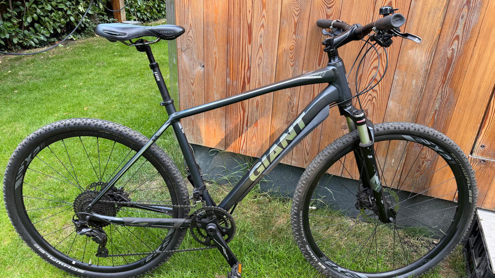 Giant Roam 0 Disc 2014