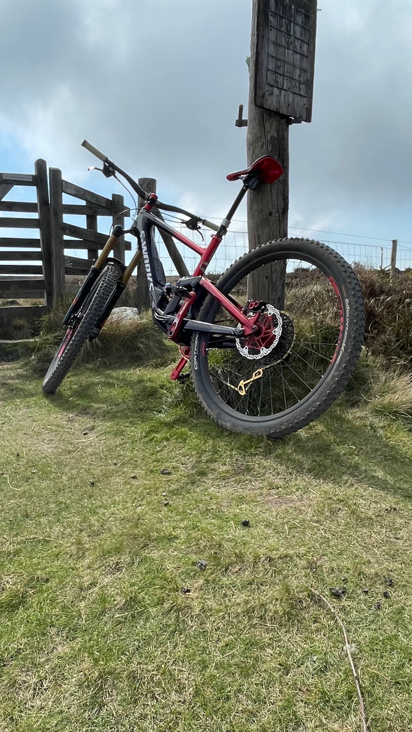 Specialized Enduro S Works 2022