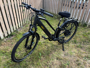 Volt Pulse Ls 2024