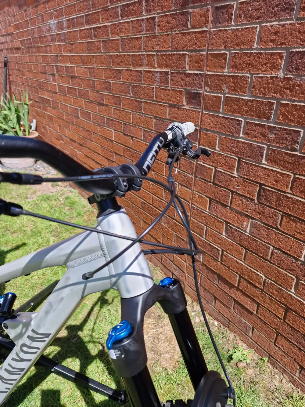 Canyon Torque 5 (Mullet) 2025