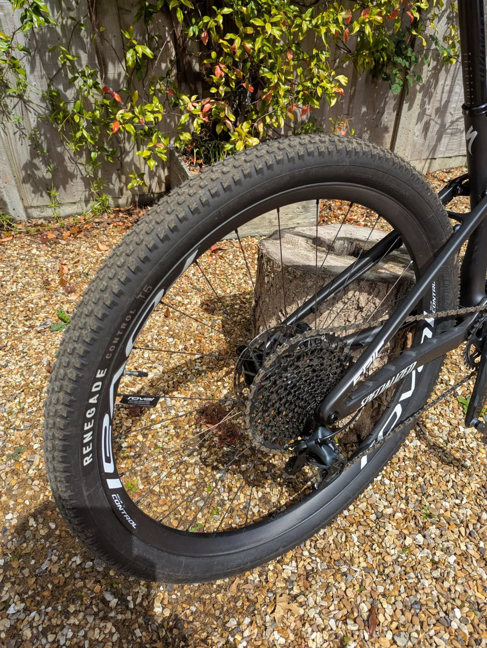 Specialized Epic EVO Expert 2022