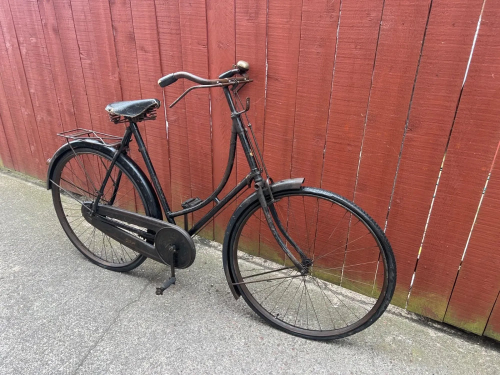Raleigh Special 2017