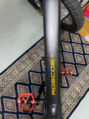 Trek Roscoe 8 2022