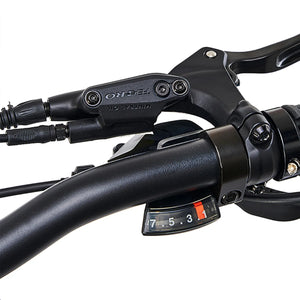 Hygge Sorø Folding E-Bike