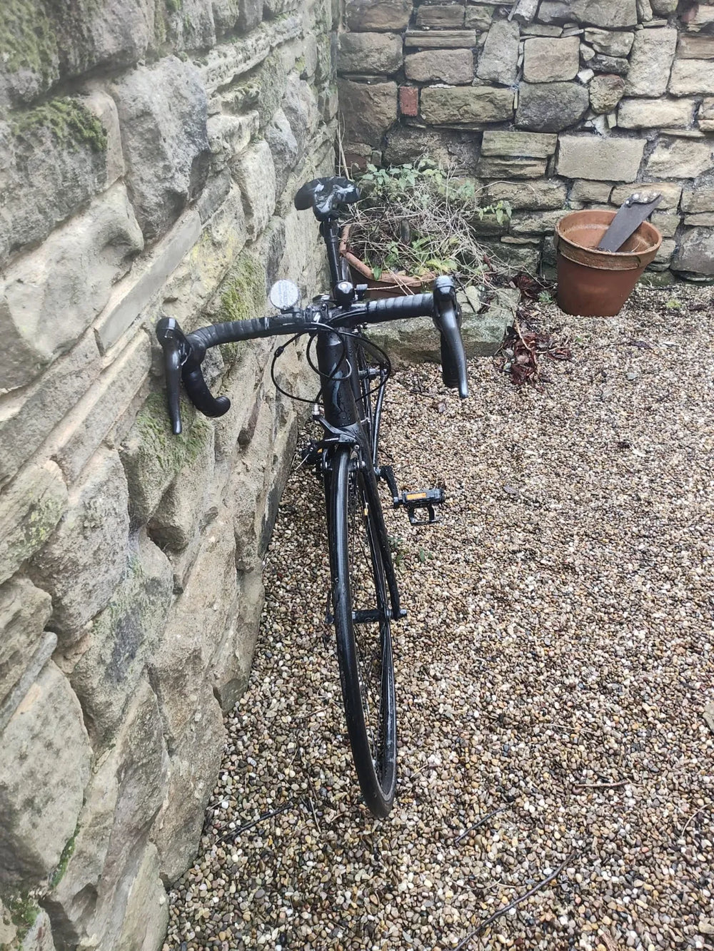 Specialized Allez 2021