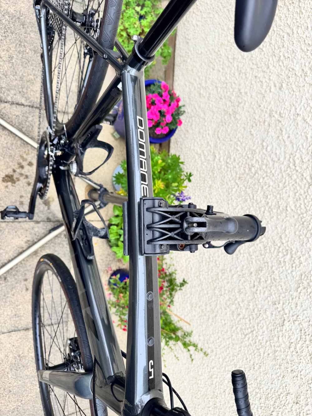 Trek Domane AL 5 Disc 2022