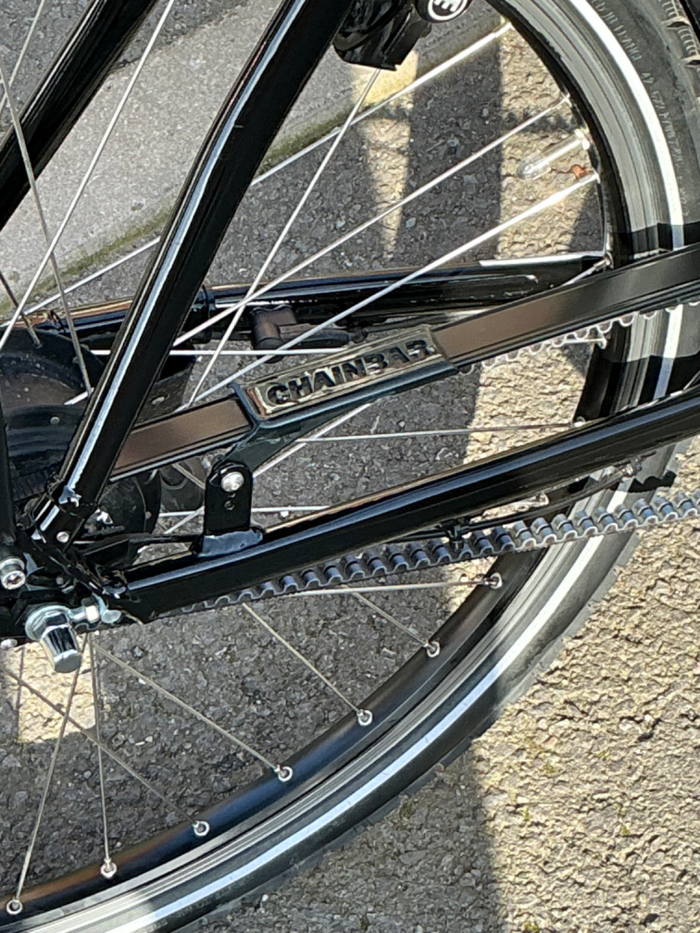 Riese and Muller Roadster Vario 2022