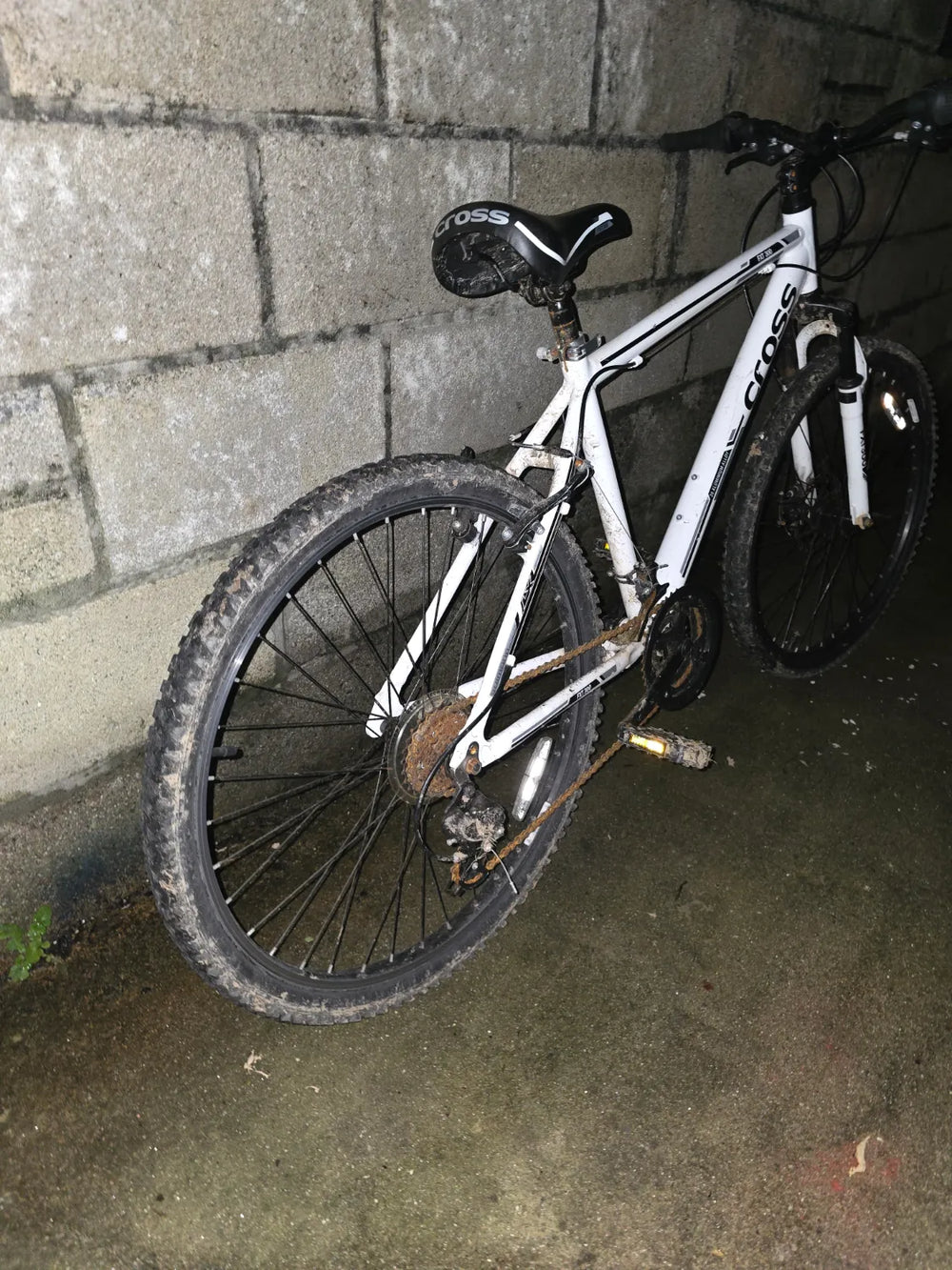Cross FXT 300 2020