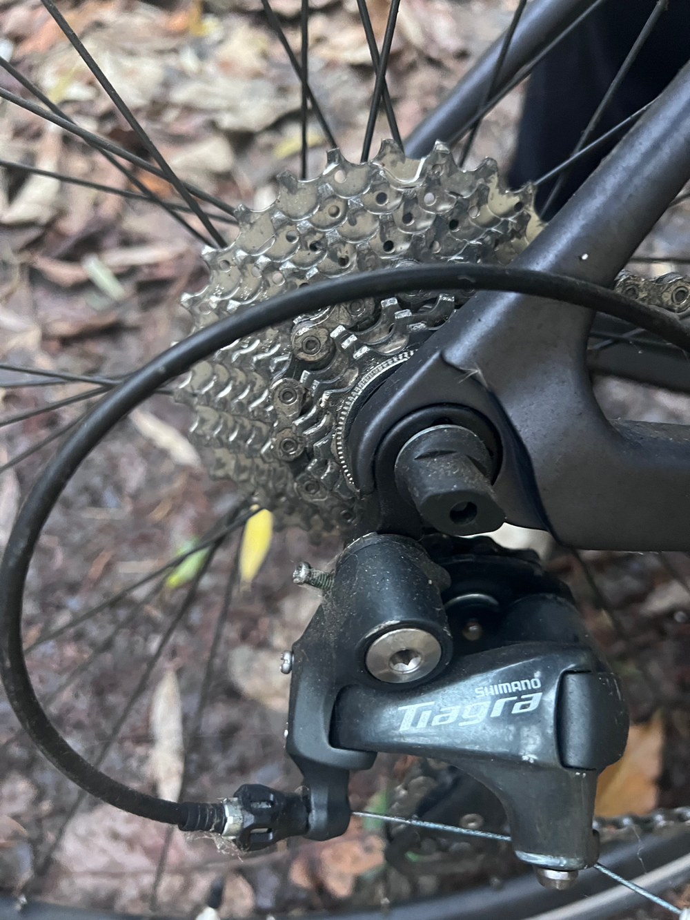 Boardman SLR 8.6 2017