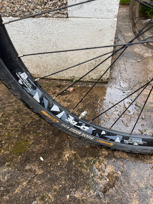 Raleigh Mustang E Comp 2019