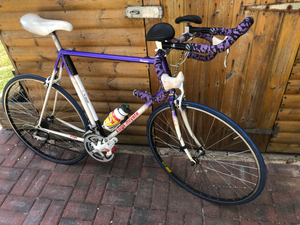 Koga Mayata Triathlon  1994