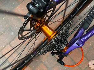 Marin Rift Zone 2 29 2025