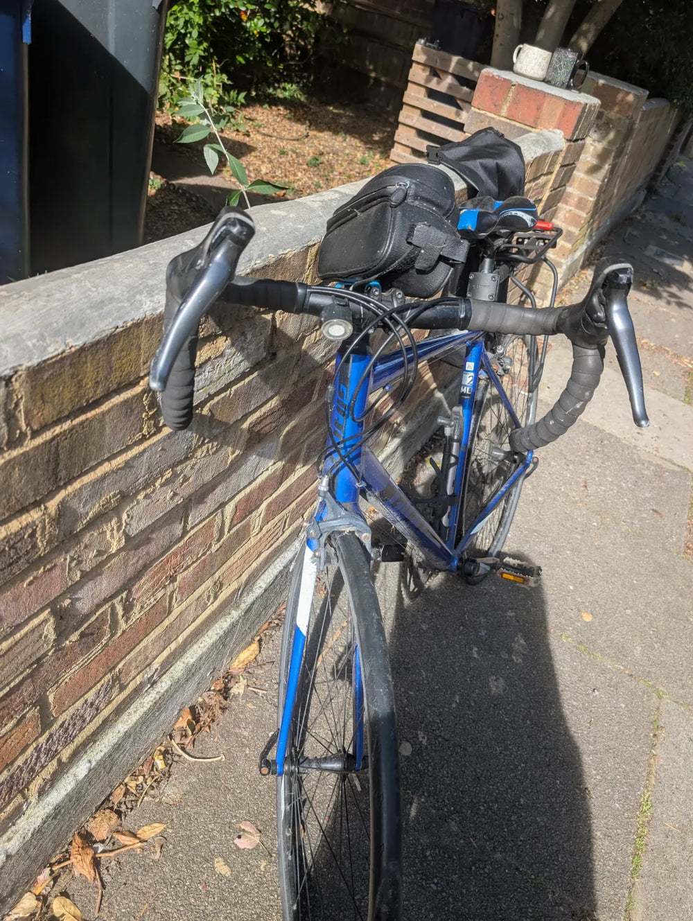 Giant Contend 2 2020