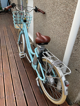 Volt Kensington 2022