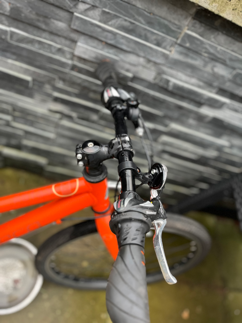 Carrera Abyss Junior Hybrid Bike 2021