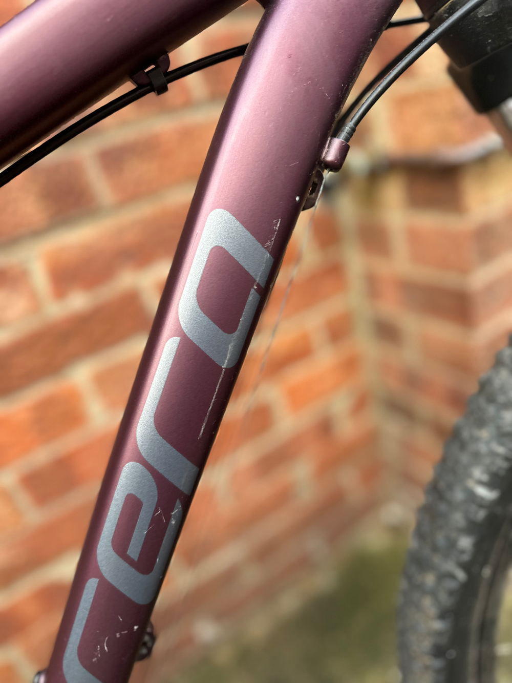 Carrera Hellcat Womens Mountain Bike 2020