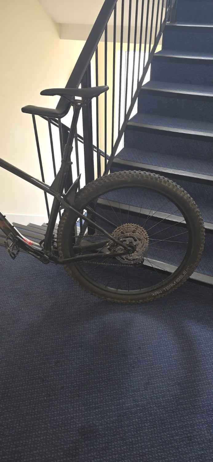 Trek Roscoe 7 2025