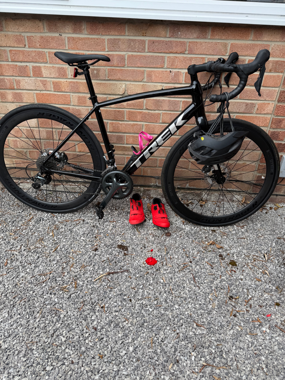 Trek Domane AL 4 Disc 2021