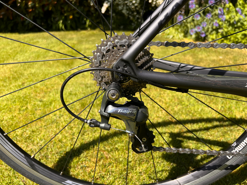 Basso Laguna 2022