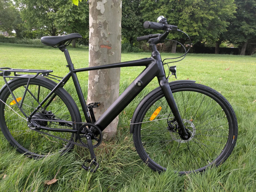Buzzbike EZ 2024