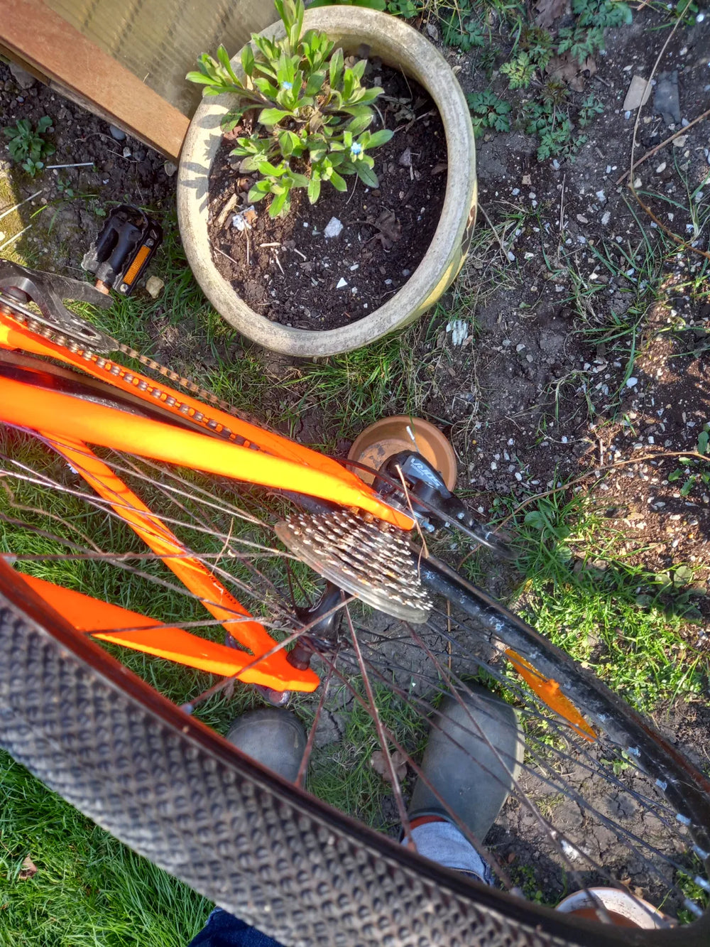 Fixie Inc. Floater Race 8S bicycle.  2021