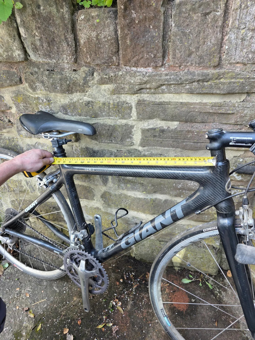 Giant TCR 2 2004