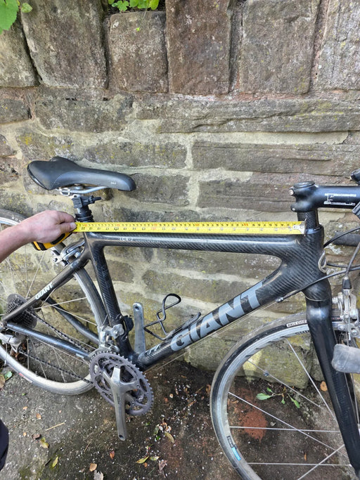 Giant TCR 2 2004