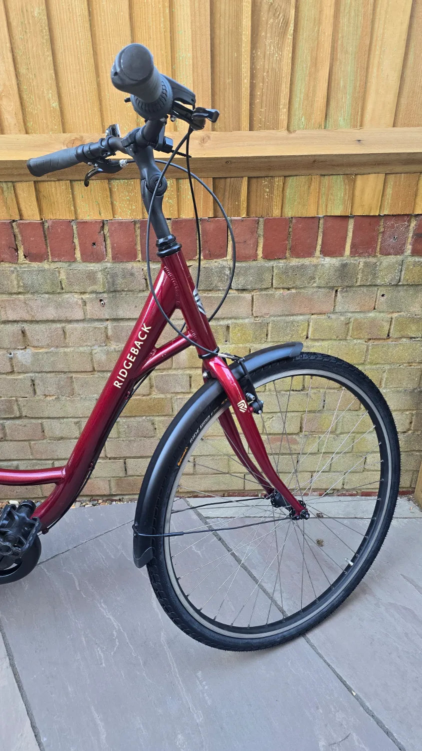 Ridgeback Avenida 6 2025