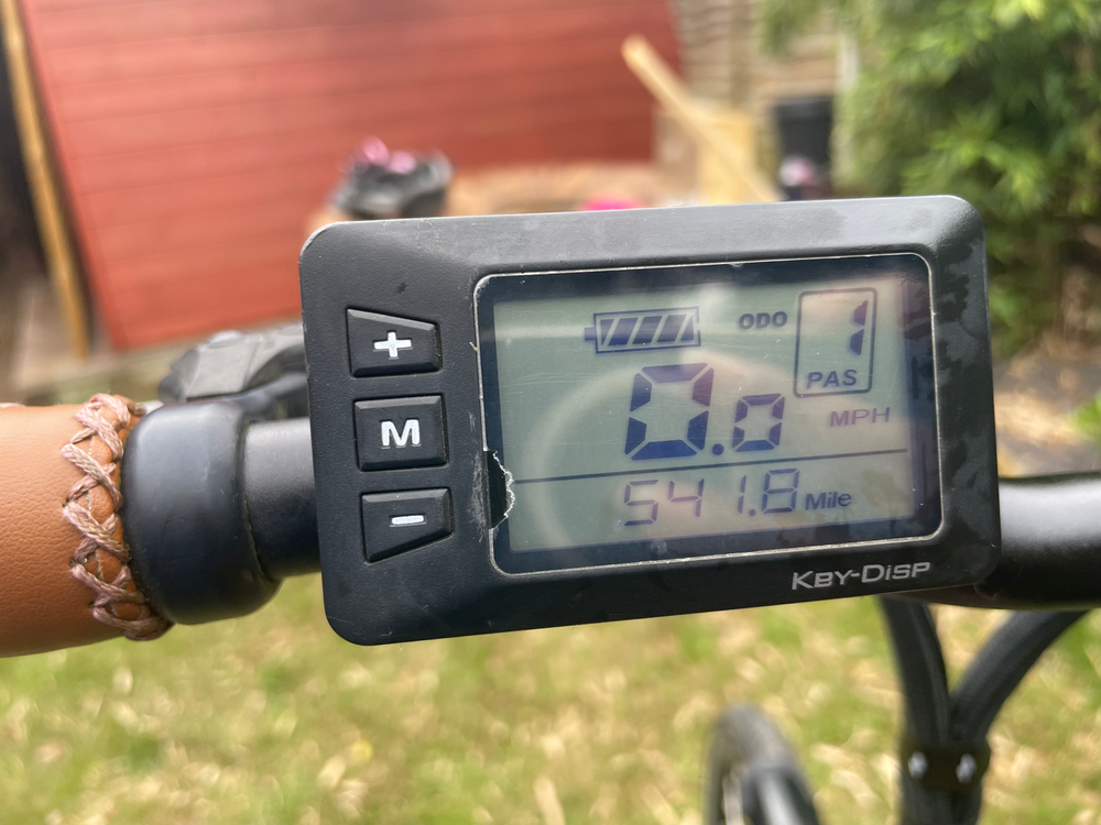 Juicy Roller E-BIKE TQ 73 2019