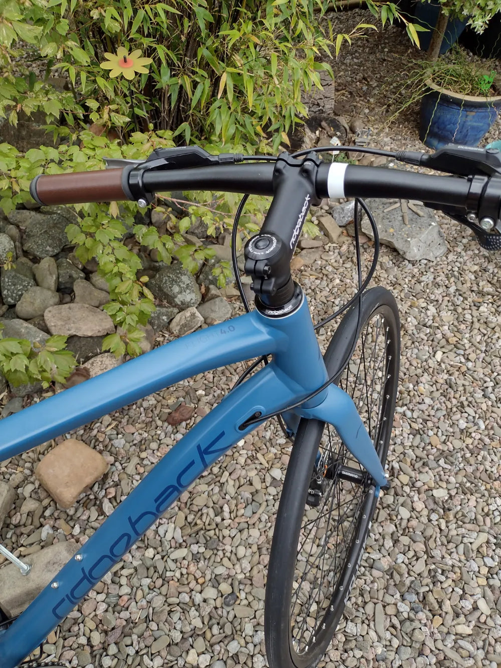 Ridgeback Flight 4.0 2019