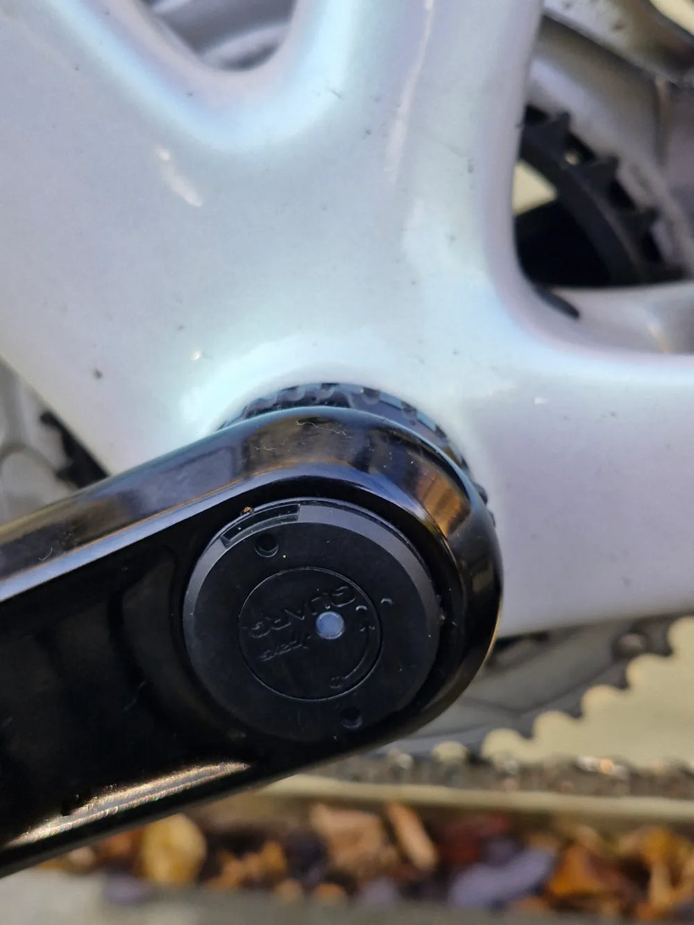 Specialized Roubaix SL8 Expert 2024