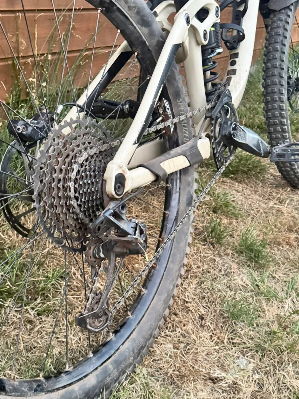 Giant Reign SX 1 2019