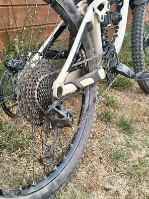 Giant Reign SX 1 2019