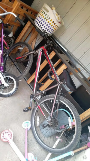 Tiger cycles Hazard 2019