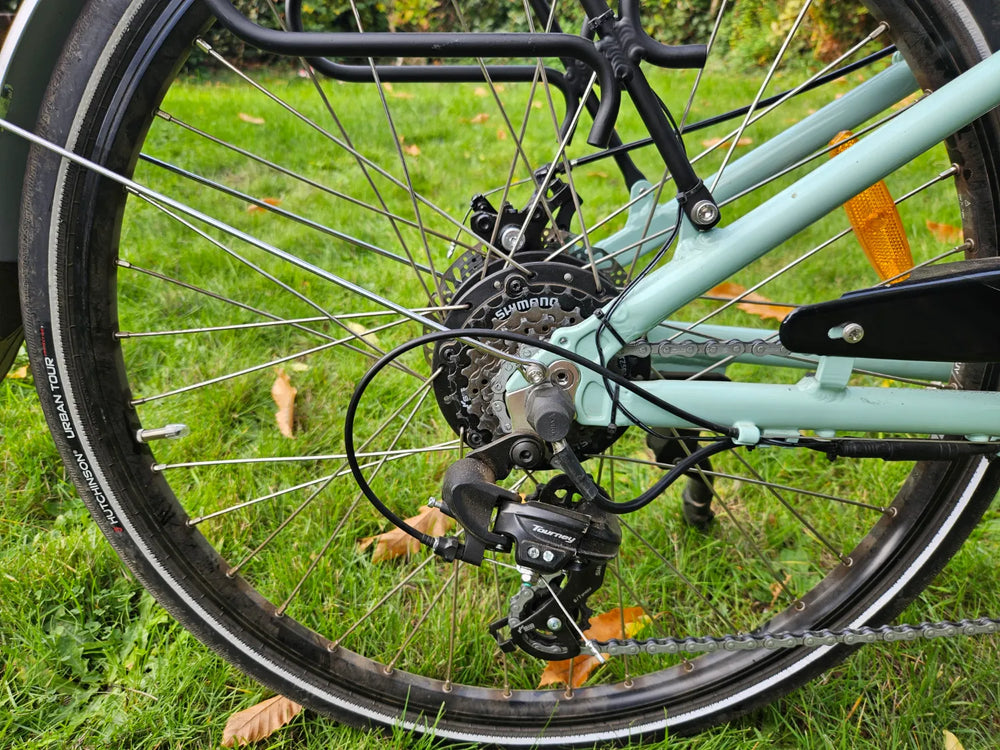 Juicy Dutch Ebike 2023