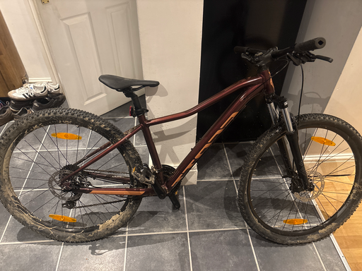 Scott Contessa Active 60 2023