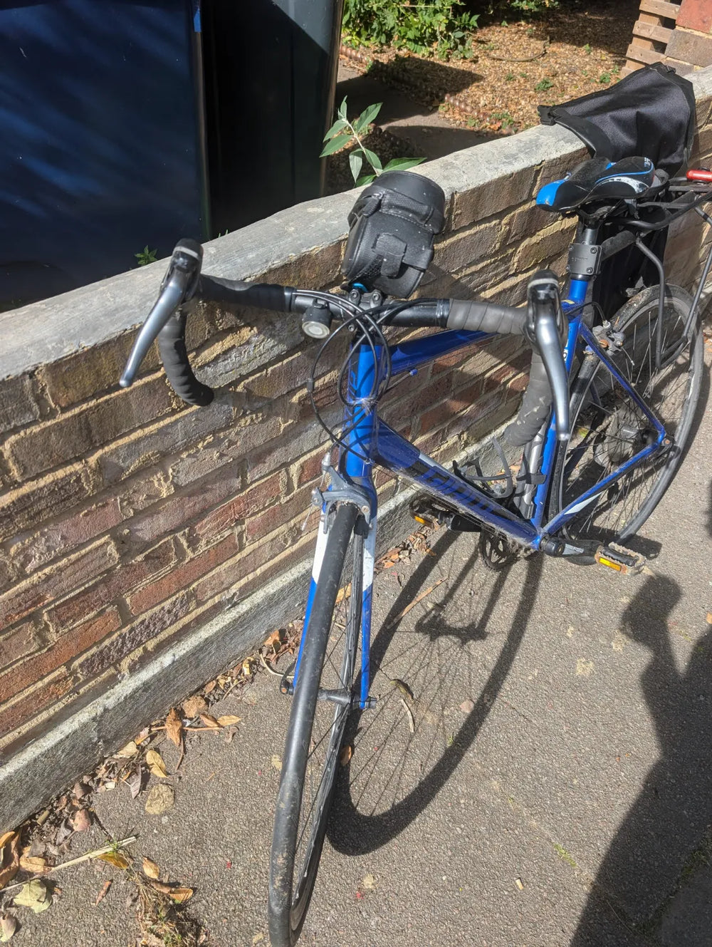 Giant Contend 2 2020